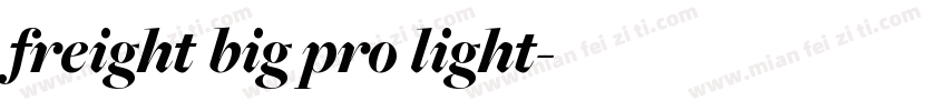 freight big pro light字体转换